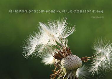 Sichtbar und unsichtbar (Löwenzahn) - Faltkarte
