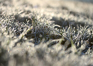 Faltkarte "Wintergras"