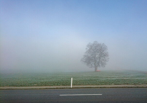 Morgennebel - Faltkarte ab 50 Ex.