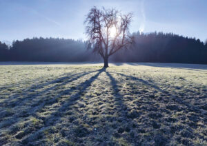Winterstimmung